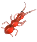 cherryseed stonefly