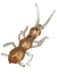 rootbeer stonefly