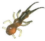 motoroil stonefly