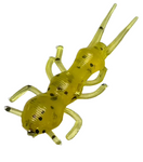 yellow stonefly