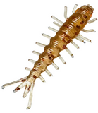 Magooster Hellgrammite