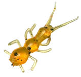 pumpkin stonefly